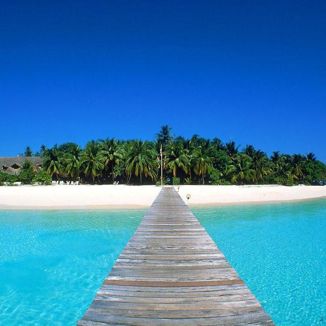 Our honeymoon / Notre voyage de noces