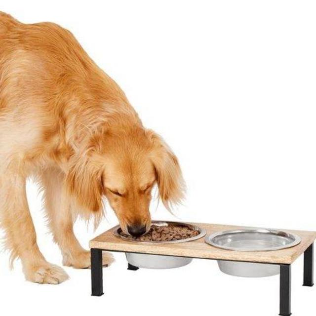 Frisco Wooden Elevated Dog & Cat Diner