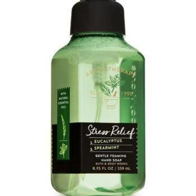 Aromatherapy Eucalyptus Spearmint Gentle Foaming Hand Soap