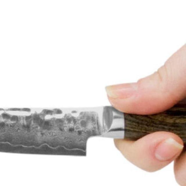 PREMIER 4-IN. PARING KNIFE