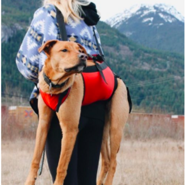 The Back Country Rescue Harness