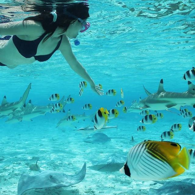 Snorkeling in Bora Bora