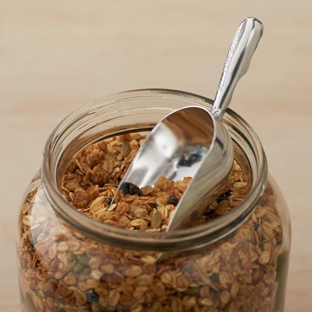 Williams-Sonoma Cast Aluminum Scoop, 5 oz.