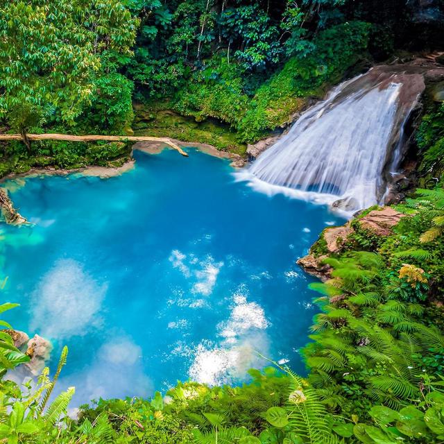 Blue Hole & Dunn's River Falls Private Tour