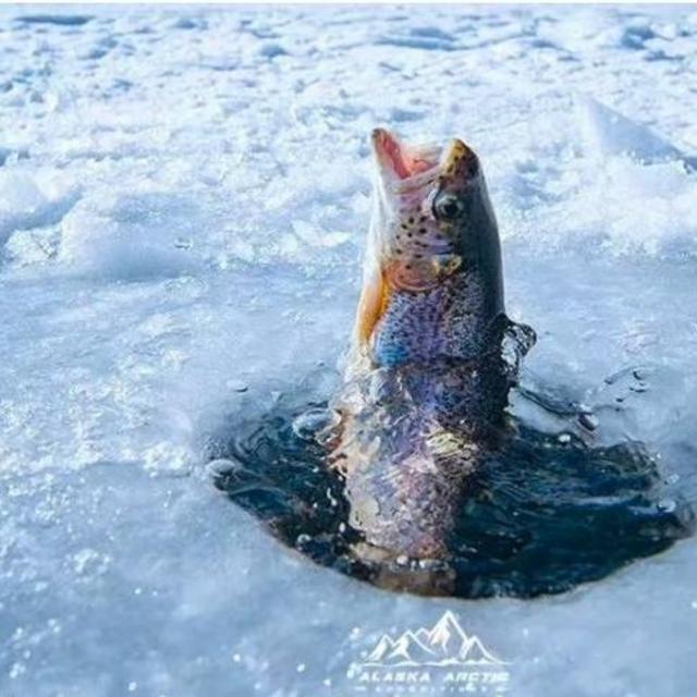 Ice Fishing Excursion