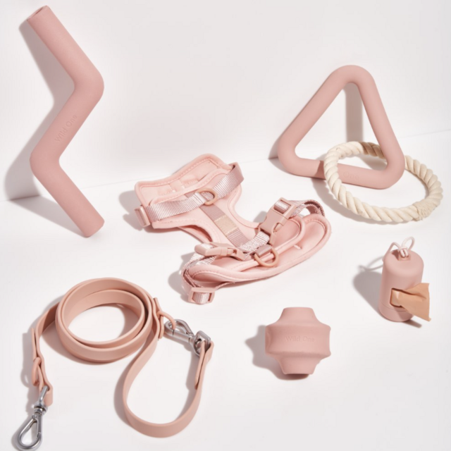 Wild One Harness Walk & Play Kit