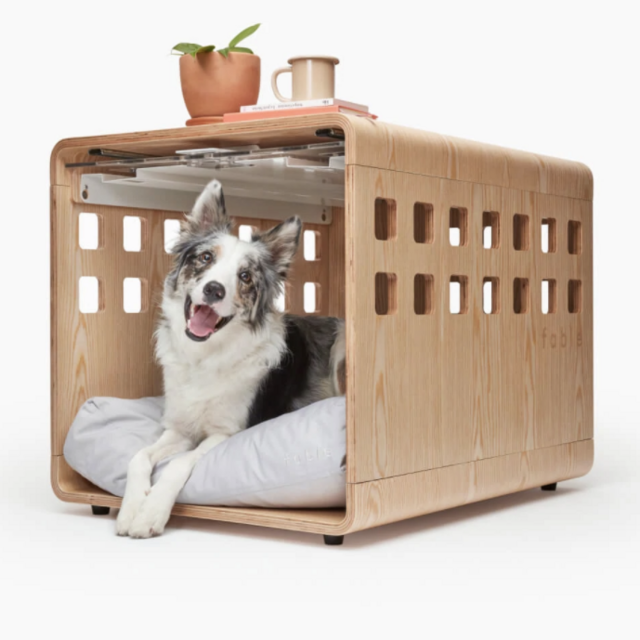 Fable Pets Acrylic Medium Crate