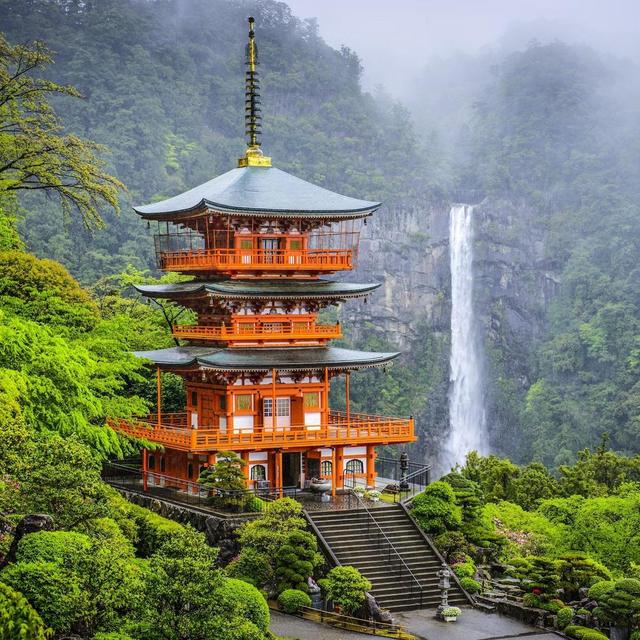 Japan Honeymoon Fund
