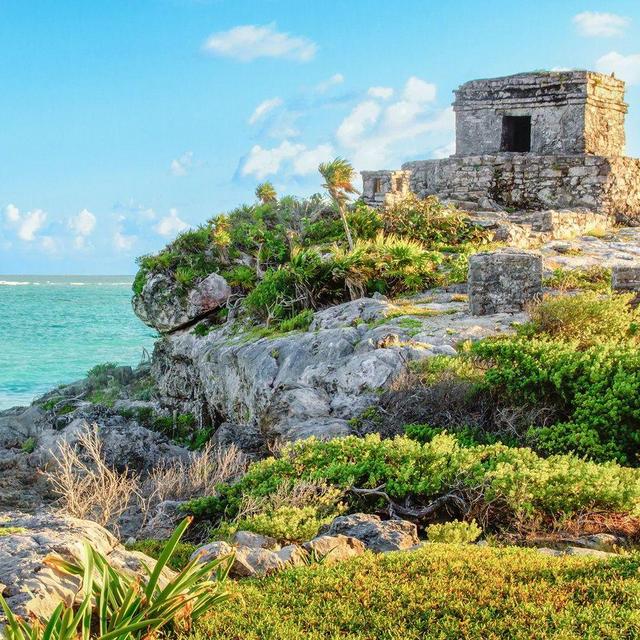 Curated Tulum Excursion