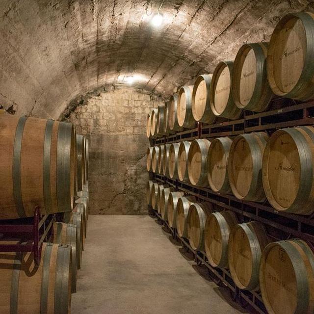 Tour of the Calado Wine Cellar