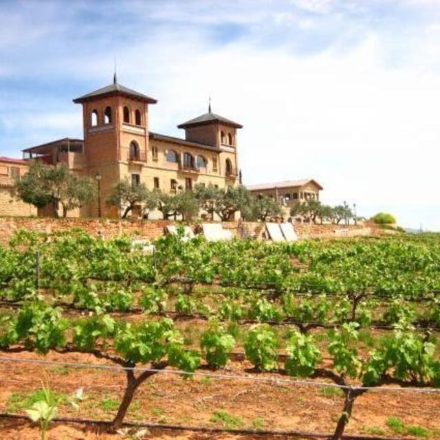 Wine & Dinner at Castillo de Monjardín