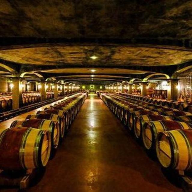 Wine Tasting at Les Sources De Caudalie