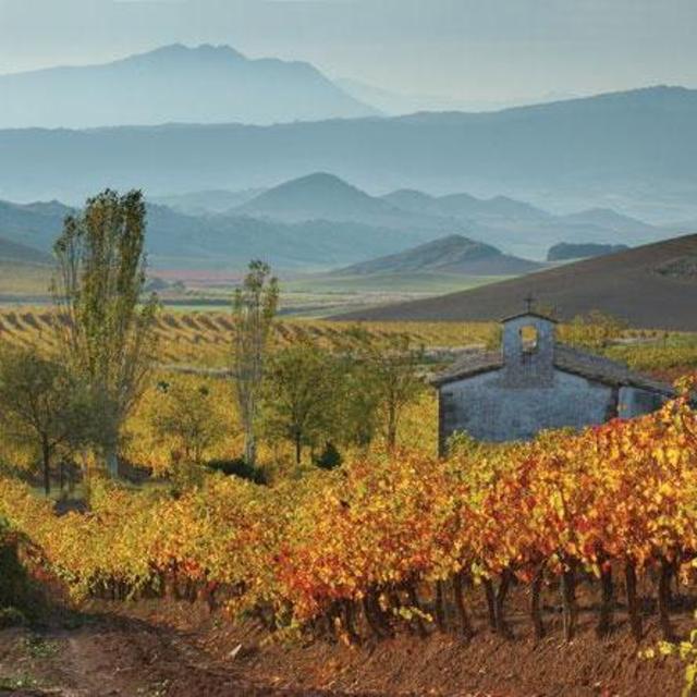 Vino from Navarra, Spain