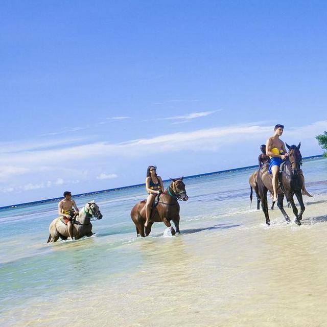 Honeymoon - "Ride and Swim Horseback adventure"