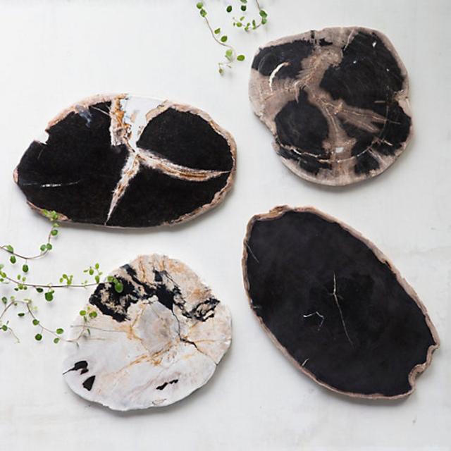 Petrified Wood Serving Board