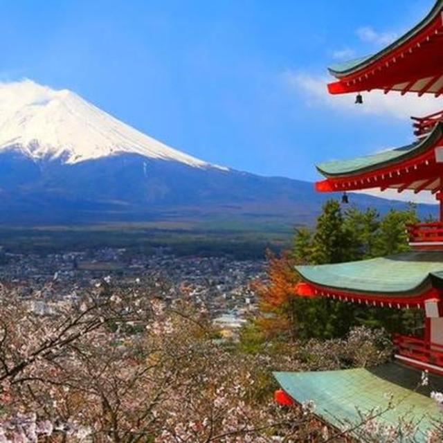 Honeymoon in Japan Fund