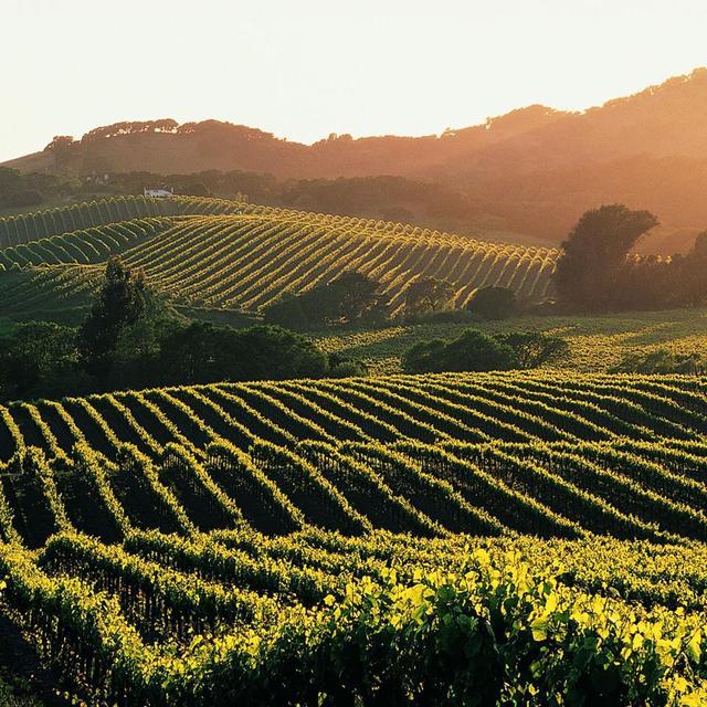 Wine tasting in Sonoma Valley