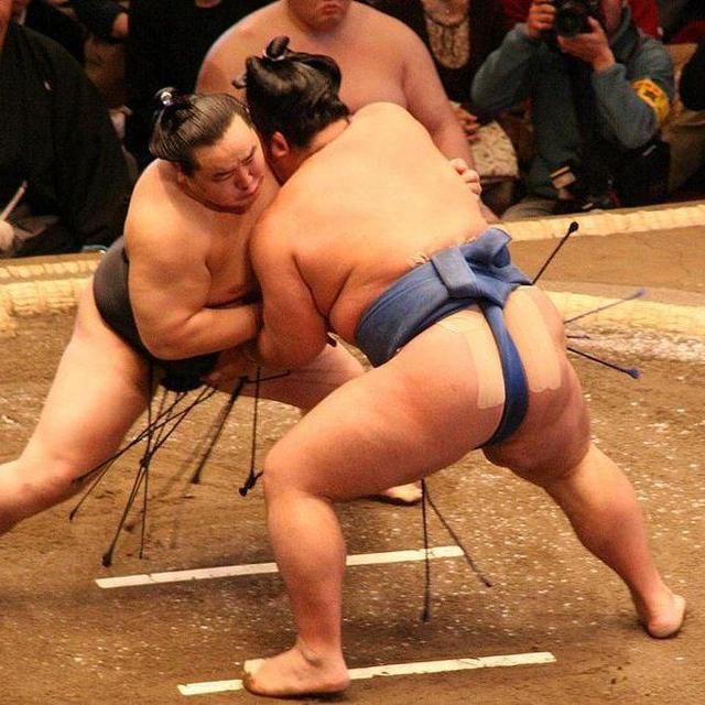 Tickets to Sumo Wrestling Match