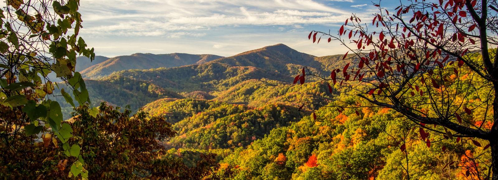 Paige Donaldson and Kane Alber's Wedding Registry on Zola, image size:1600x580