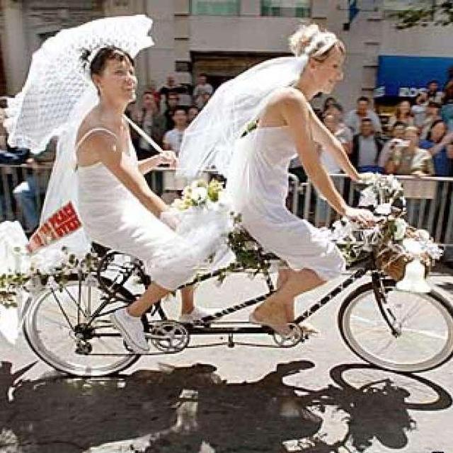 Wedding and Honeymoon Fund