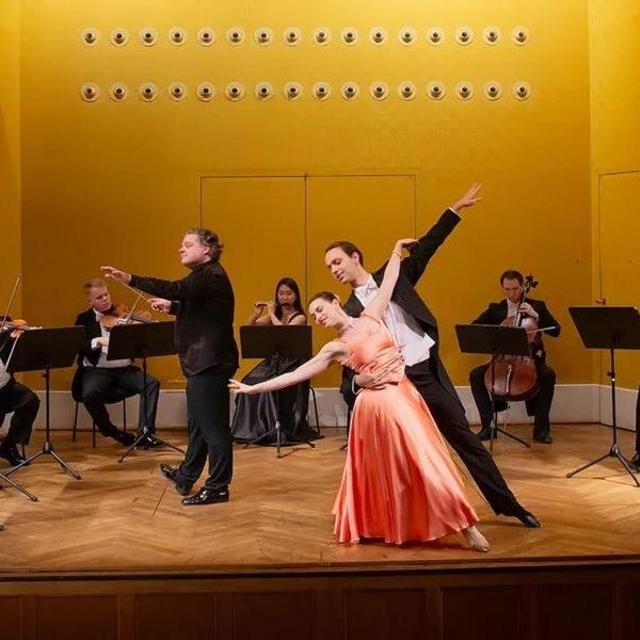 Honeymoon Cruise Excursion - Mozart & Strauss Concert