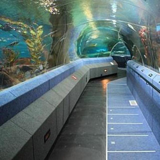 National Aquarium of New Zealand