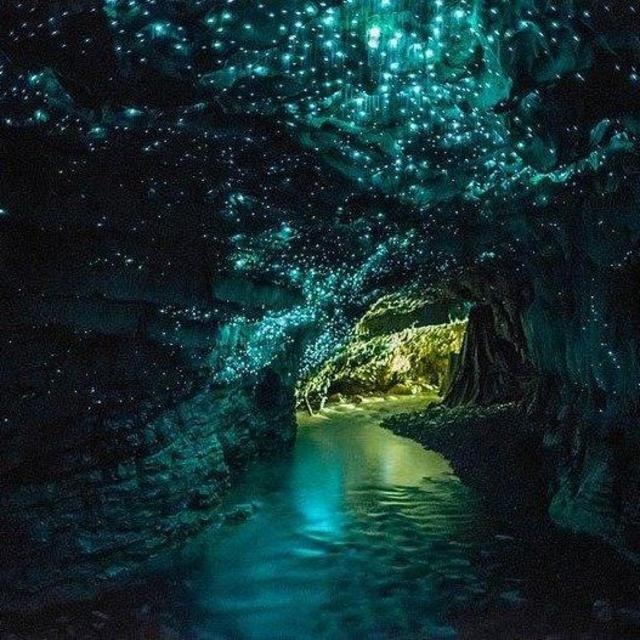 Exploring Glowworm Caves