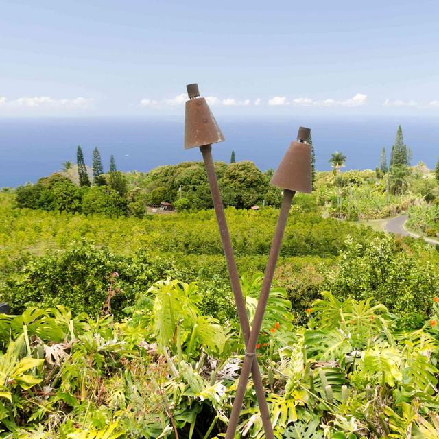 Kona Coffee Tour