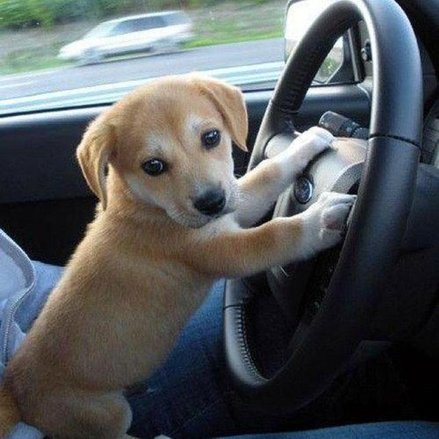 Airport transportation