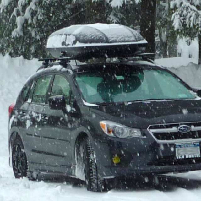 Thule Pulse L Roof Box