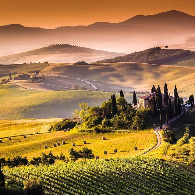 Tuscany/Capri/Greece Honeymoon Fund!