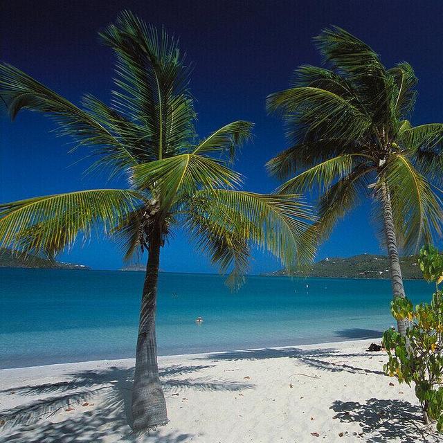 Virgin Islands Honeymoon