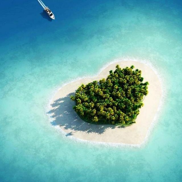 Honeymoon Fund