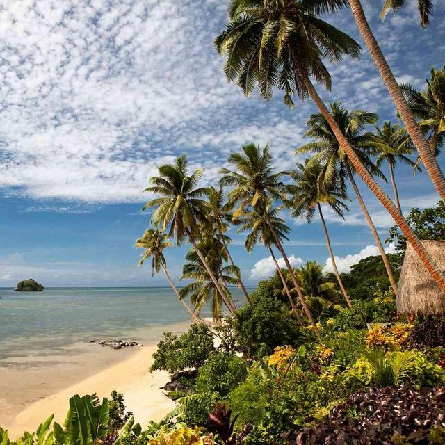 Our Honeymoon