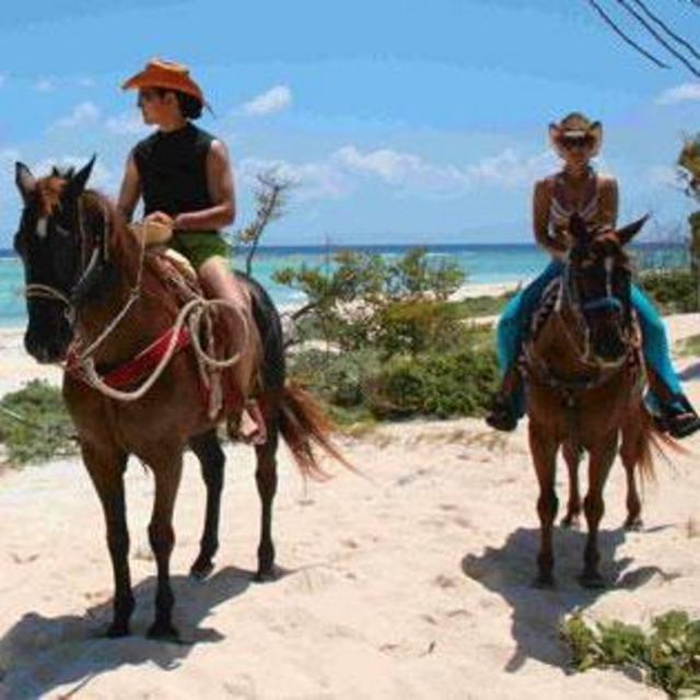 Horseback Riding