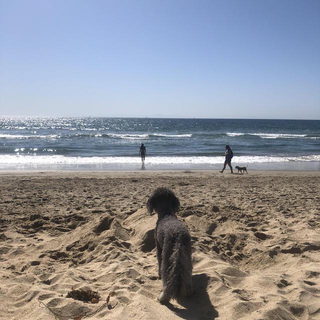 Huntington Beach Getaway @ Kimpton Hotel