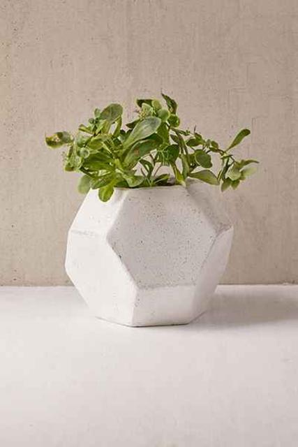 Ellis 11" Concrete Planter