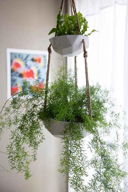 Ellis Double Hanging Planter