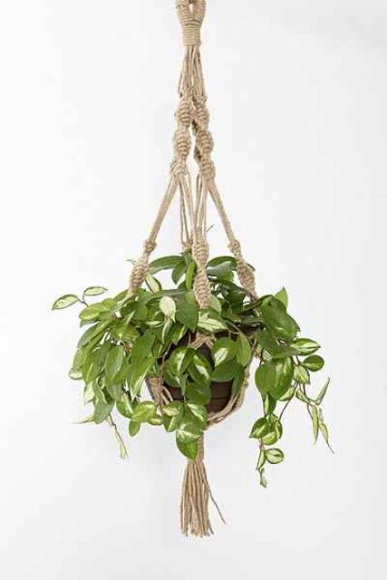 Magical Thinking Hand-Knotted Hanging Planter