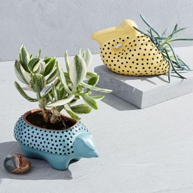 Ceramic Animal Planters