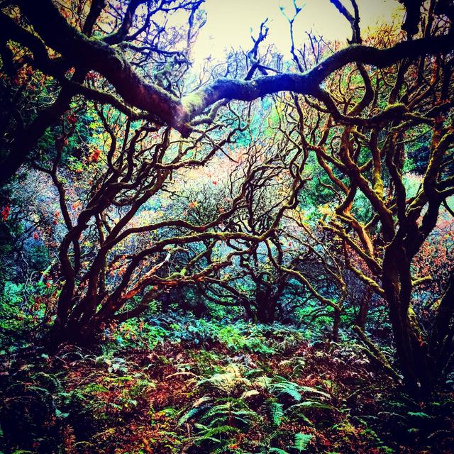 2 night backpack excursion