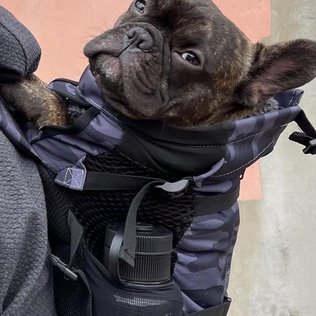 K9 Sport Sack® PLUS 2