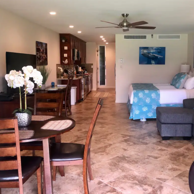 One Night in Lahaina Airbnb