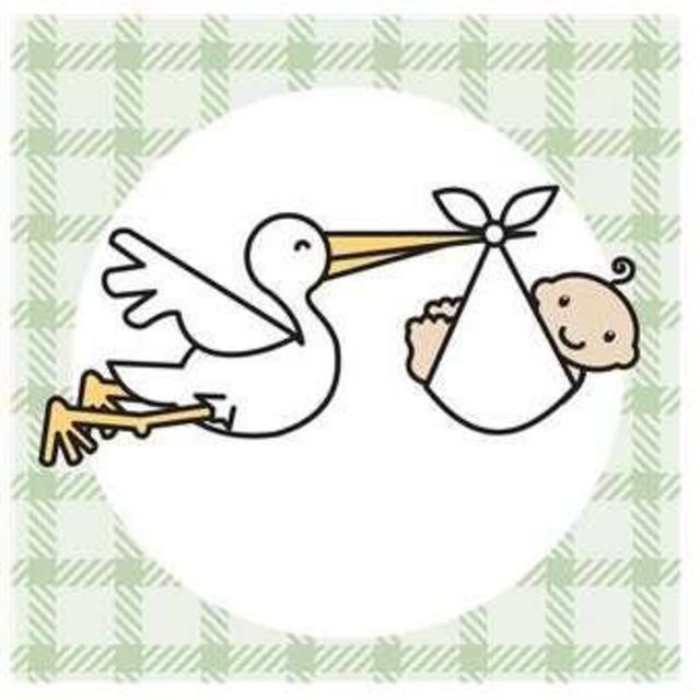 Adoption Fund