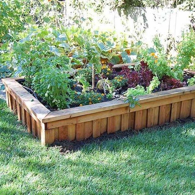 Planter Boxes