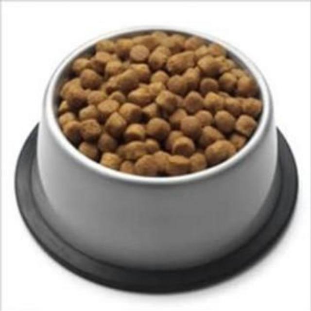 Food For Pet Dolphin