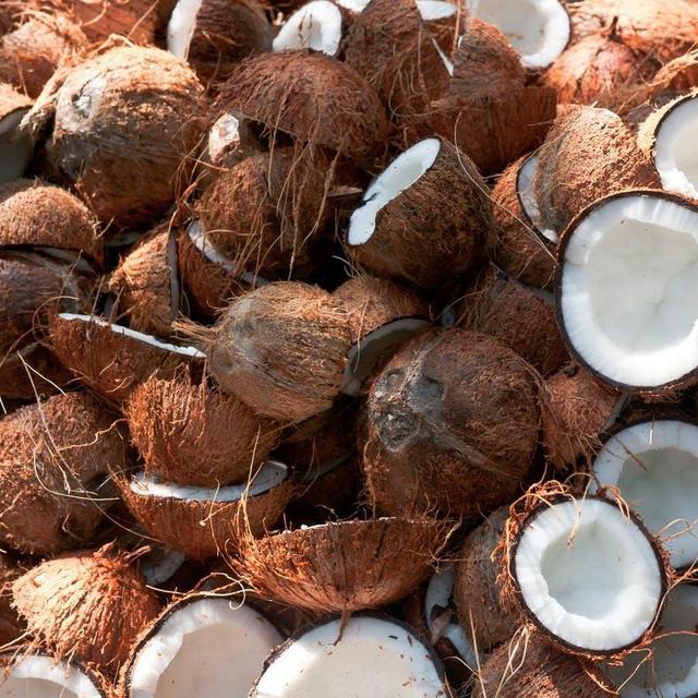 $50 Worth of Coconuts