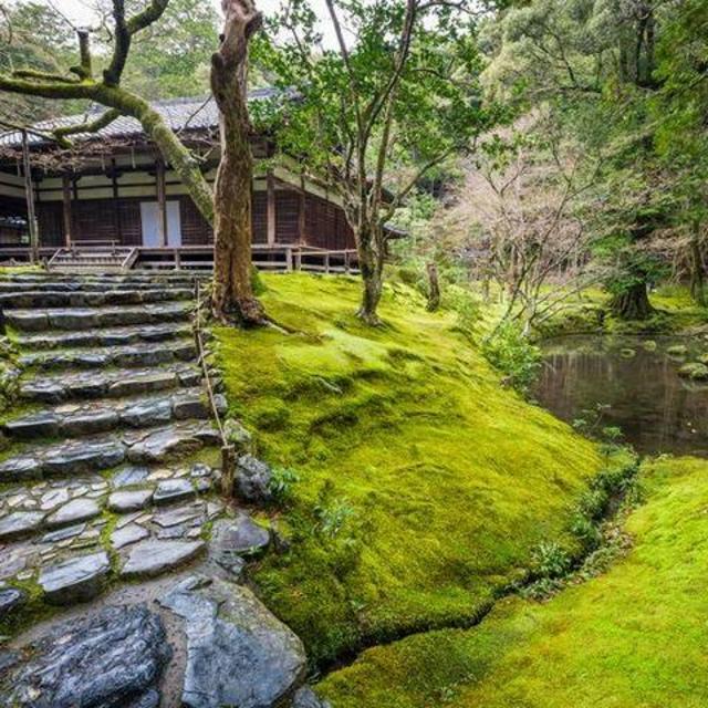 Saihoji | Kokedera (Moss Temple) in Kyoto