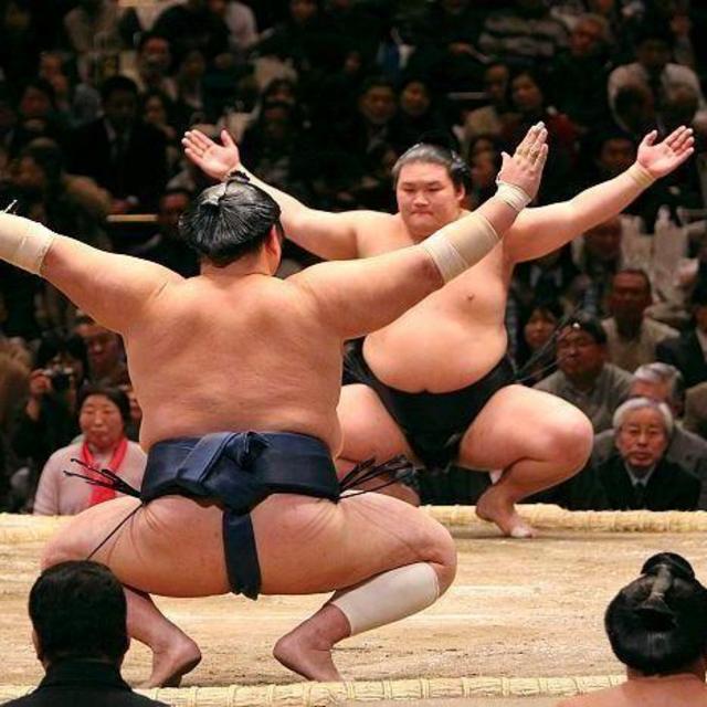 Let's see some sumo!