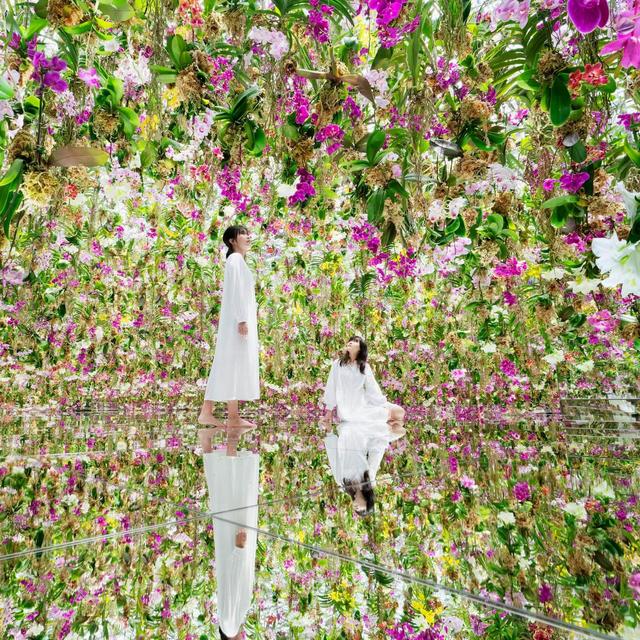 Visit TeamLab Planet Garden & Museum in Tokyo